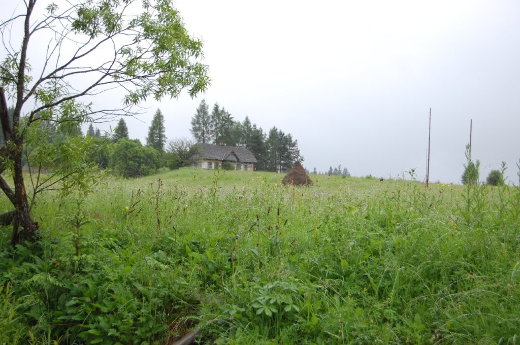 Comisia Europeană prezintă Viziunea pentru Agricultură și Alimentație
